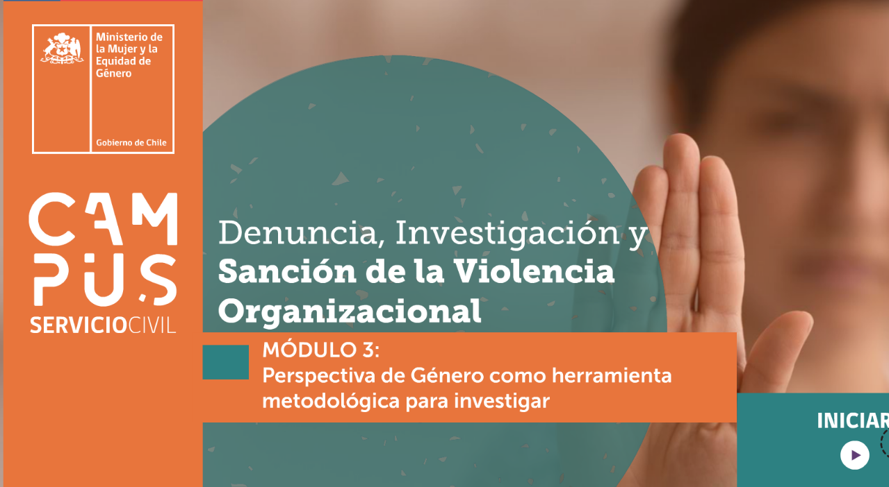 DENUNCIA, INVESTIGACIÓN Y SANCIÓN DE LA VIOLENCIA ORGANIZACIONAL